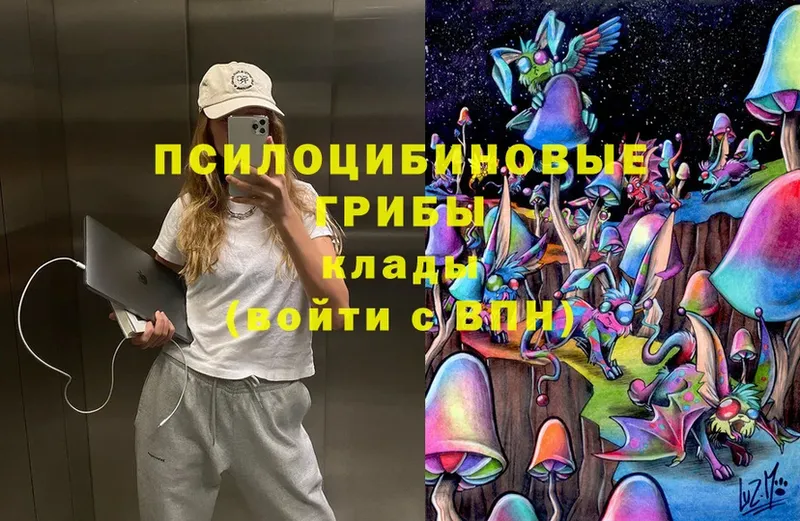 Псилоцибиновые грибы MAGIC MUSHROOMS  Майкоп 