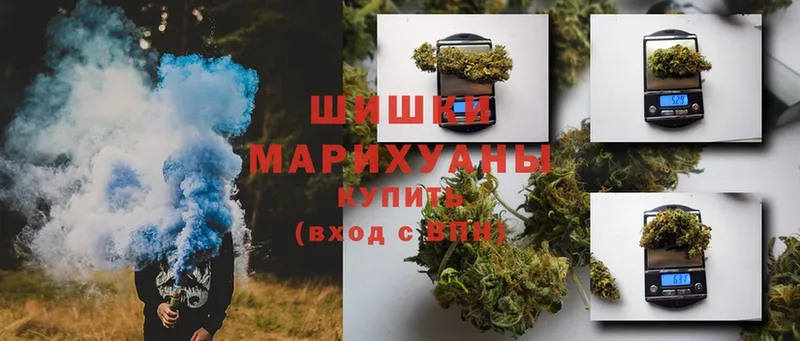 Канабис OG Kush  Майкоп 